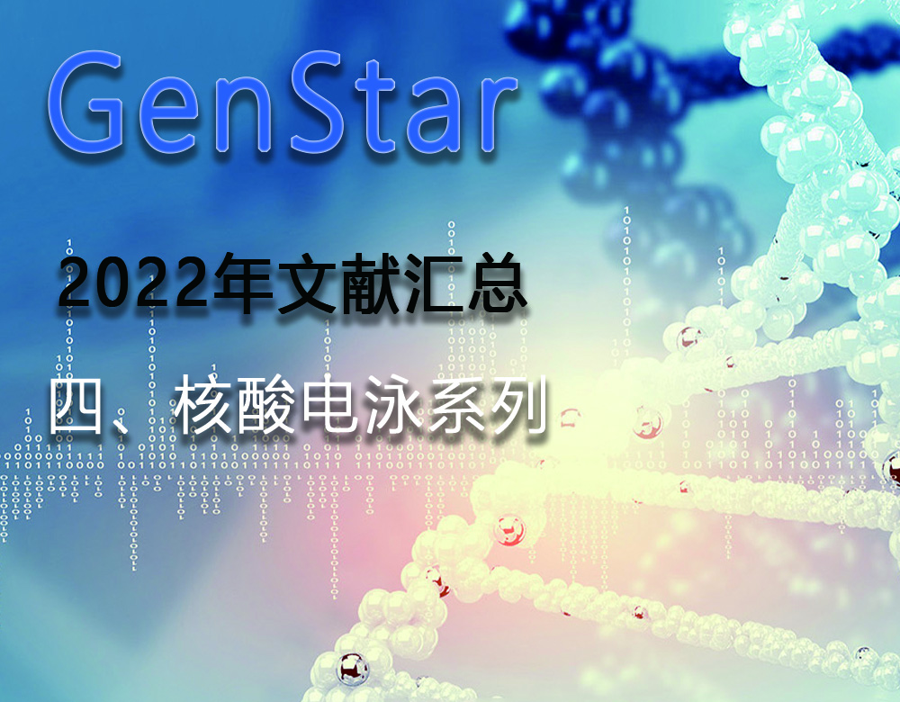 GenStar 2022年文獻匯總（四、核酸電泳系列）